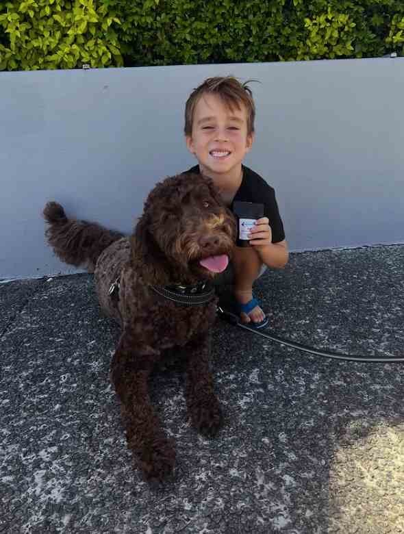 Eagleby six-year-old wins global award for pet treat business