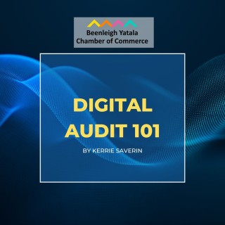 Digital Audit 101
